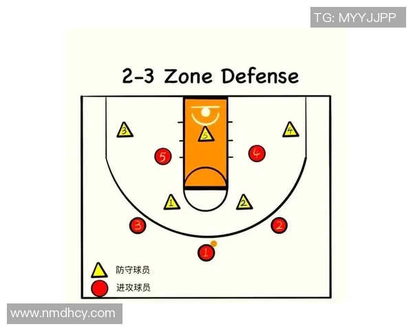 NBA球队防守策略及赛季表现分析